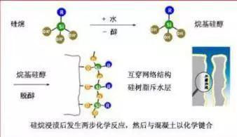 全香港最快最准的资料