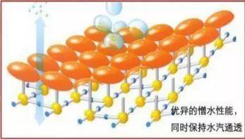 全香港最快最准的资料