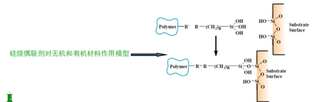 全香港最快最准的资料