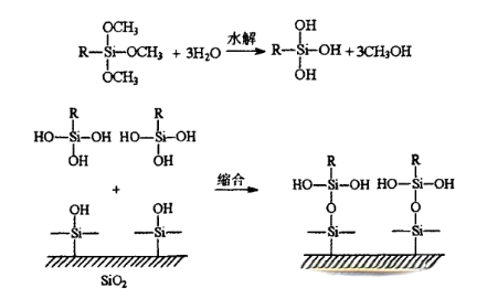 全香港最快最准的资料