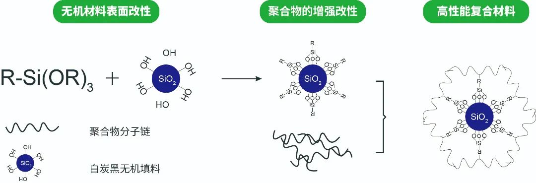 全香港最快最准的资料