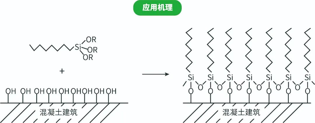 全香港最快最准的资料