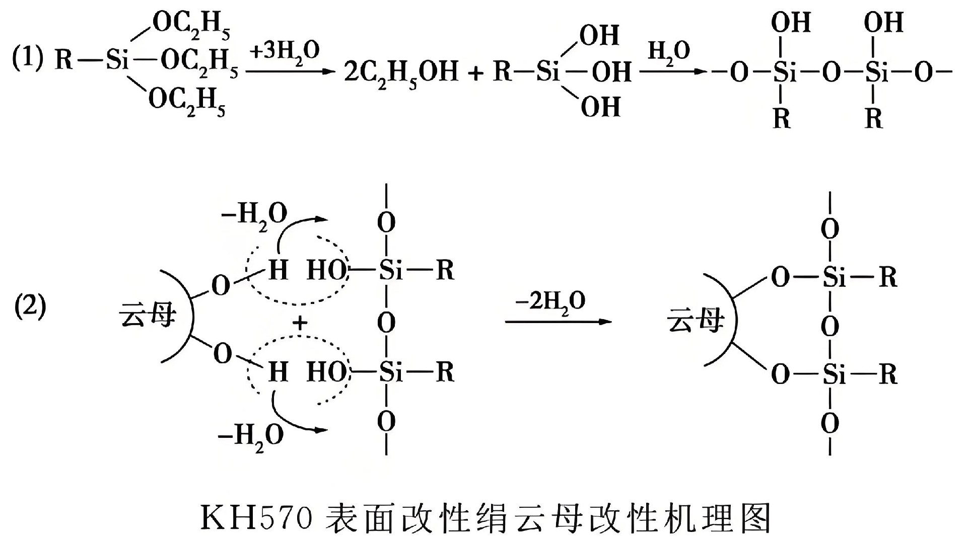 全香港最快最准的资料