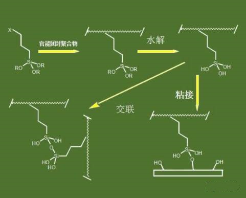 全香港最快最准的资料