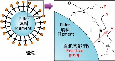 全香港最快最准的资料