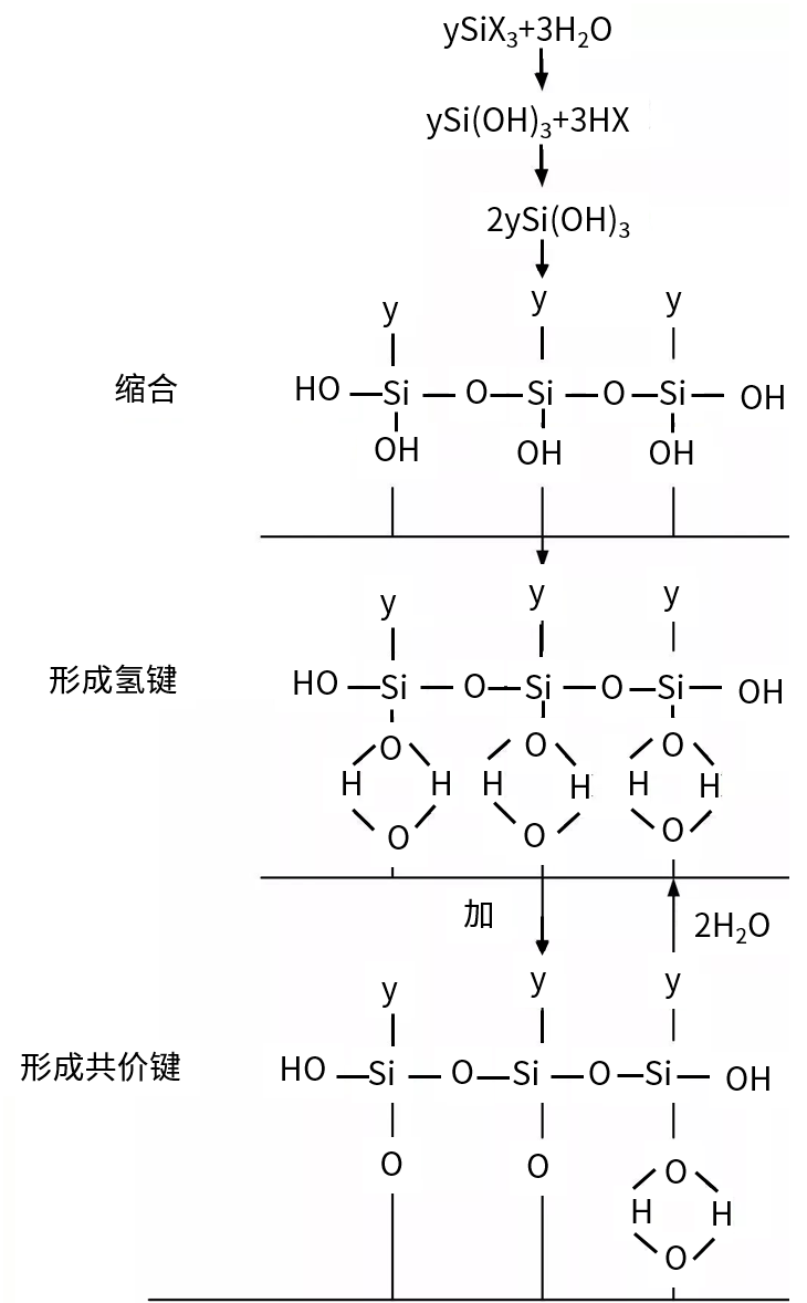 全香港最快最准的资料