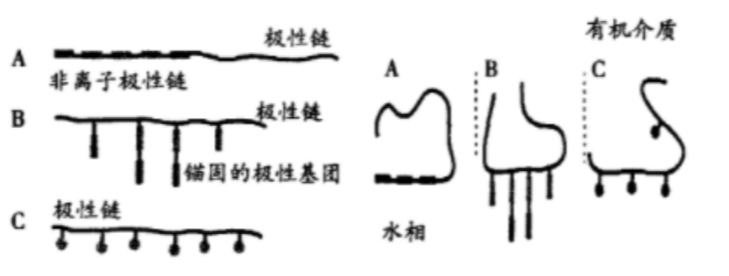 全香港最快最准的资料