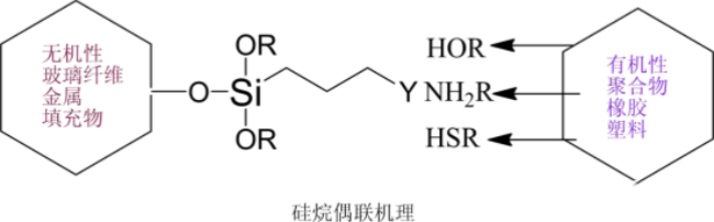 全香港最快最准的资料