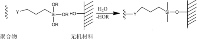 全香港最快最准的资料