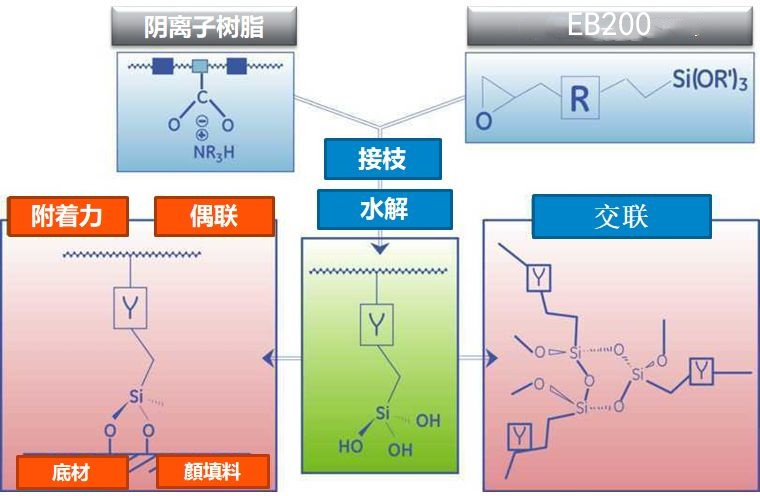 全香港最快最准的资料